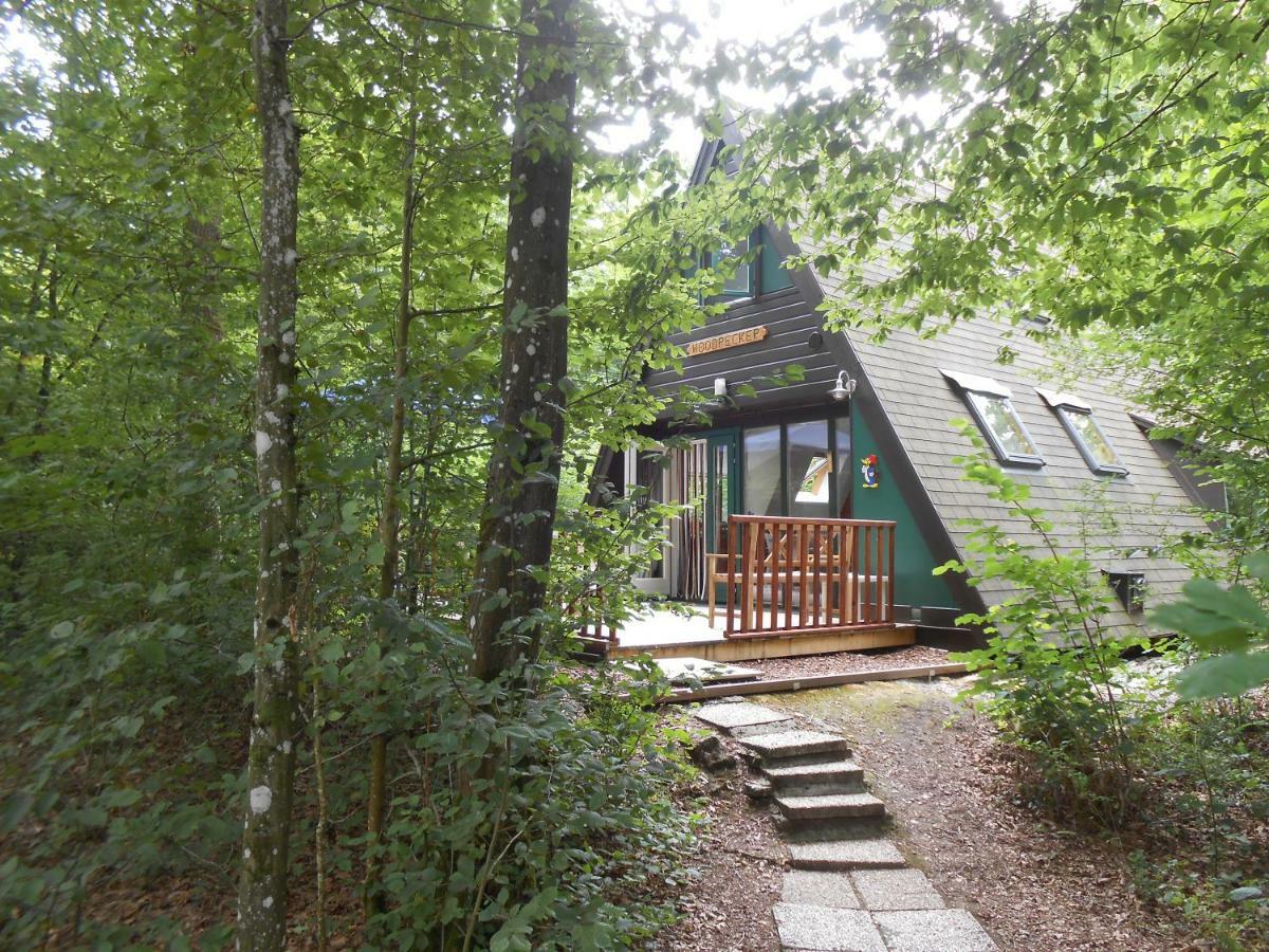 Woodpecker - Bungalow 29 Durbuy Eksteriør bilde